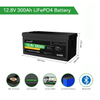 LiFePO4 Battery 12.8V 300Ah